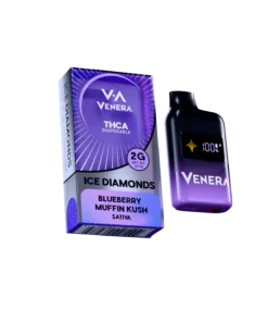 2G Disposable Vape Pen