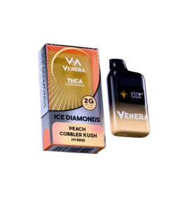 2G Disposable Vape Pen