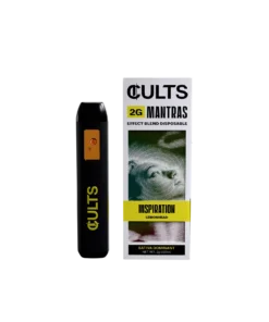 2G Mantra Vape