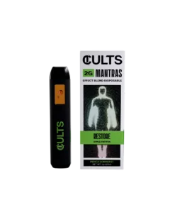 2G Mantra Vape